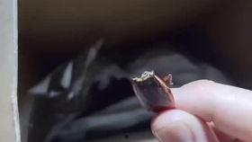 崽崽吃瓜视频在线播放免费,免费在线观看,揭秘娱乐圈幕后故事 第1张 崽崽吃瓜视频在线播放免费,免费在线观看,揭秘娱乐圈幕后故事 第1张